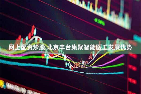 网上配资炒股 北京丰台集聚智能医工发展优势